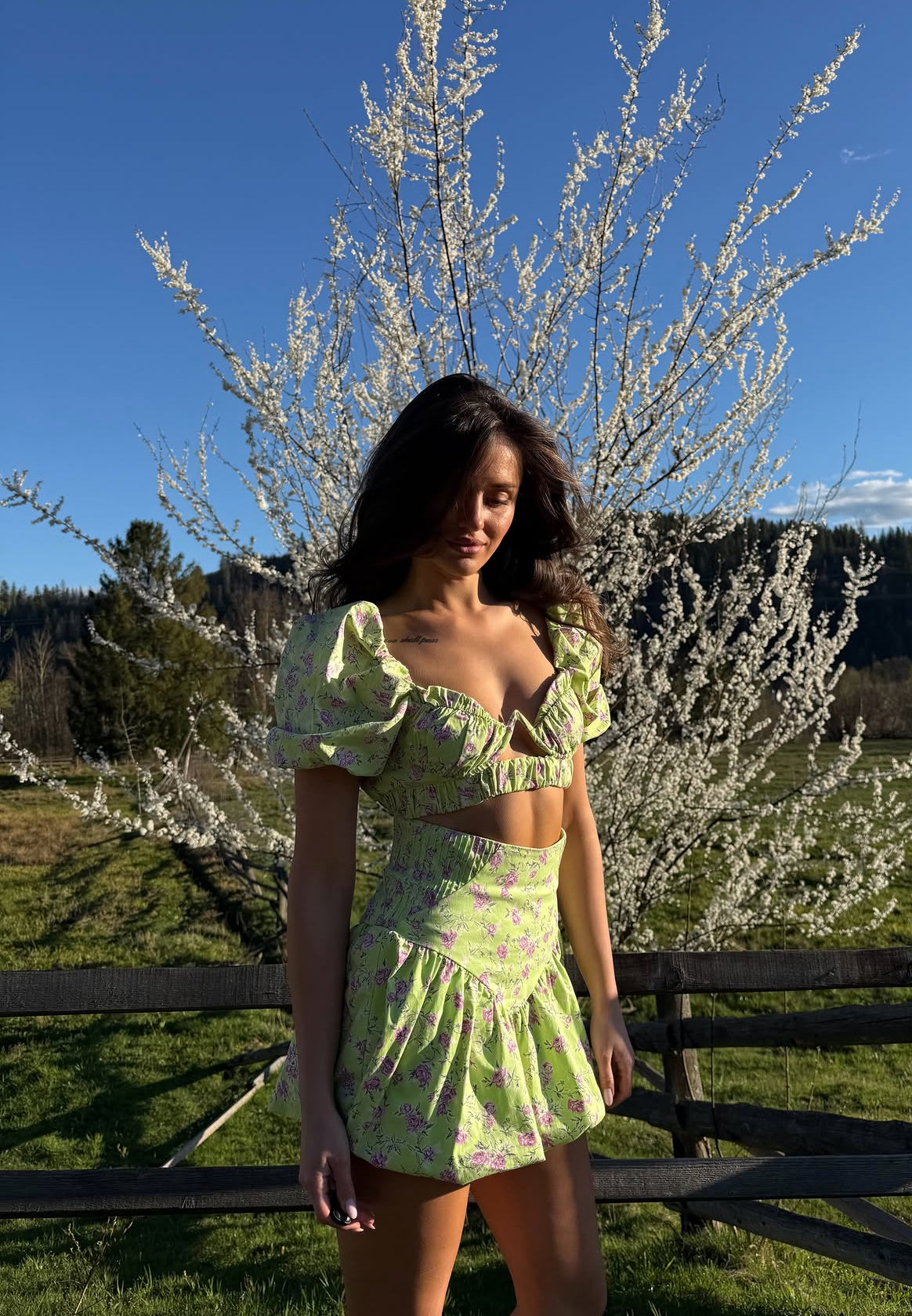 Zara 
Floral bubble skirt