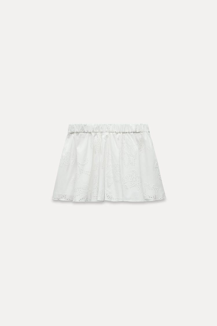 Zara
Embroidered skirt